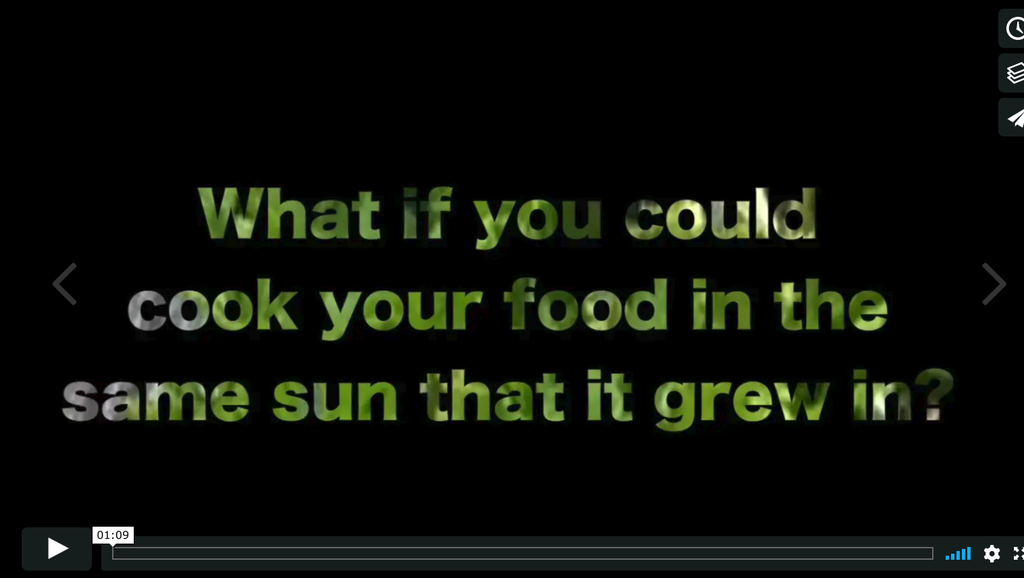 A Zucchini in the Sun!