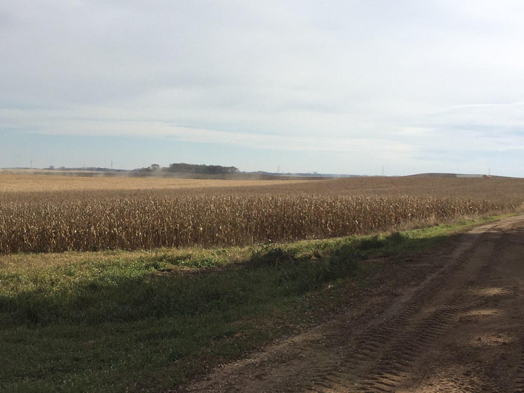 Small Scale Grain Farming